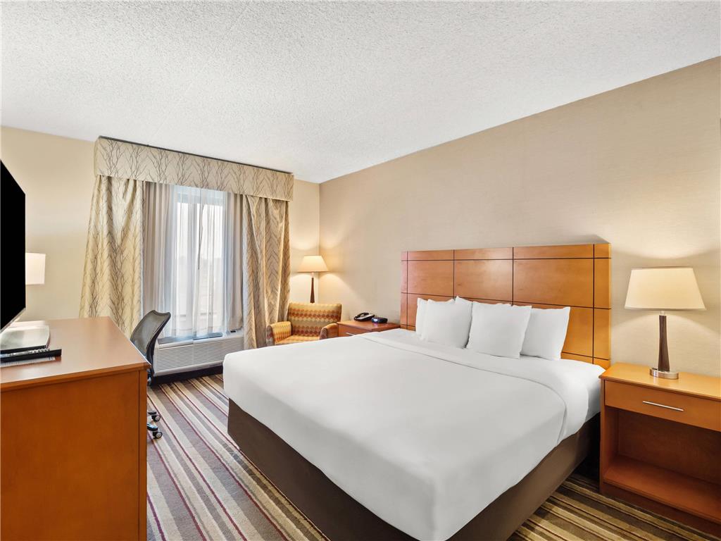 Comfort Inn Metro Airport - photo 41
