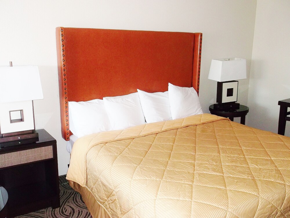 Banfield Value Inn - photo 4