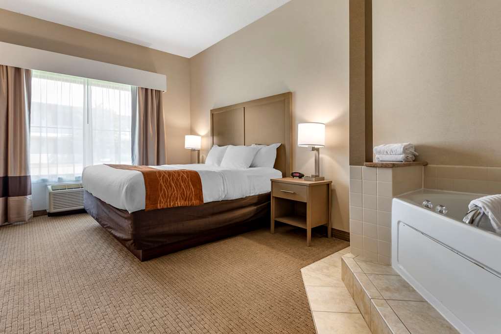 Comfort Inn & Suites Farmington Victor - photo 15