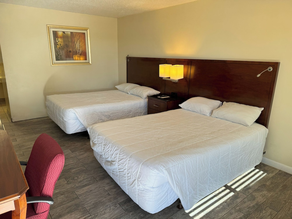 Big Chile Inn & Suites - photo 13