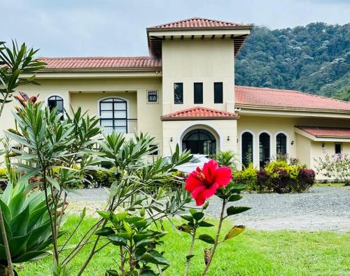 Apapacha in Salento, Colombia