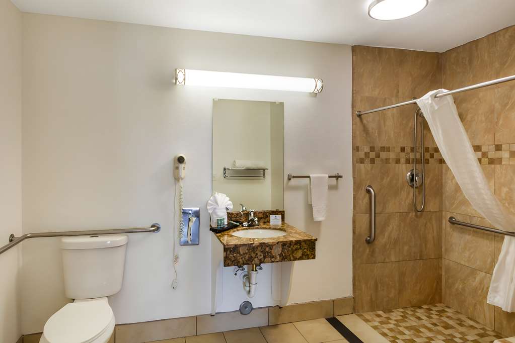 Best Western Heritage Inn - photo 22