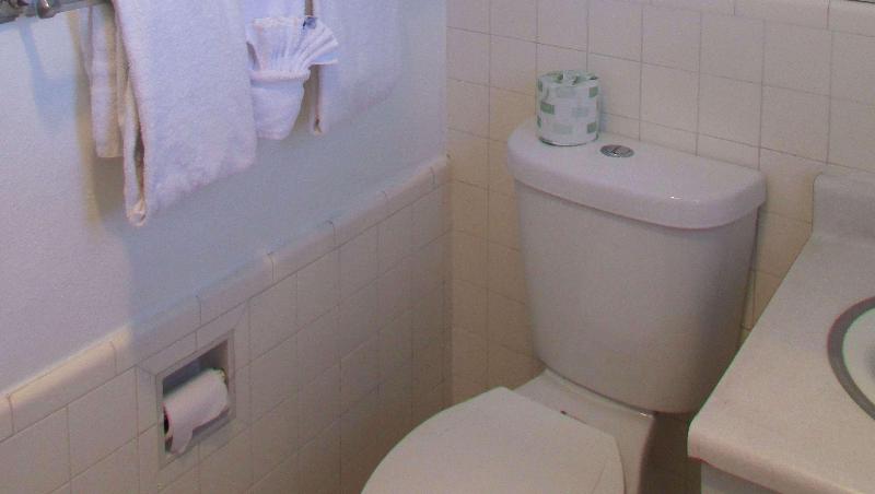 Mountain Star Inn - photo 124