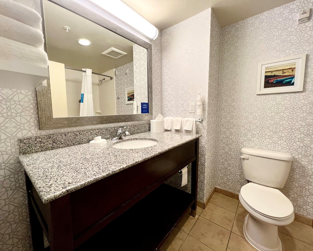 Hampton Inn & Suites Wilmington Christiana - photo 18