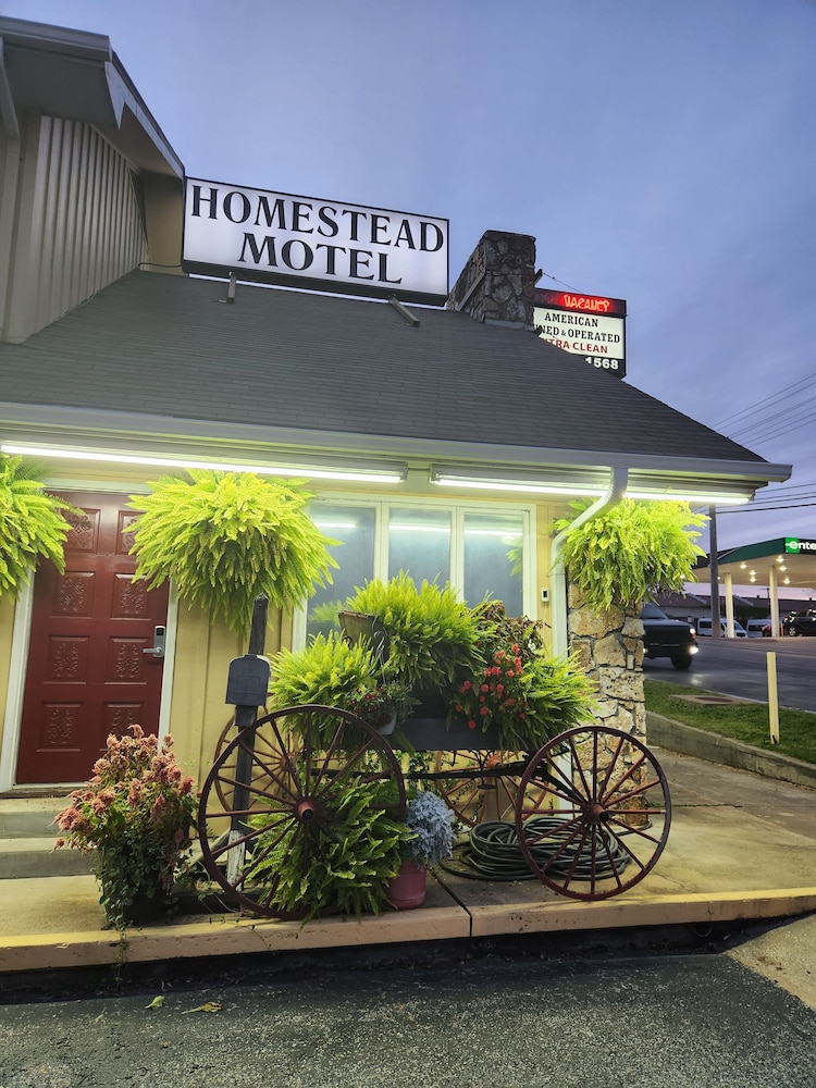 Homestead Motel - photo 47