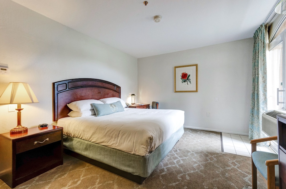 Forest Villas Hotel Prescott - photo 22