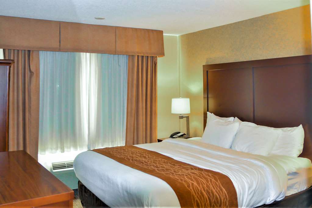 Comfort Inn & Suites Vancouver Downtown City Center - photo 12