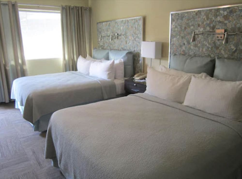 The Inn at East Beach - photo 11