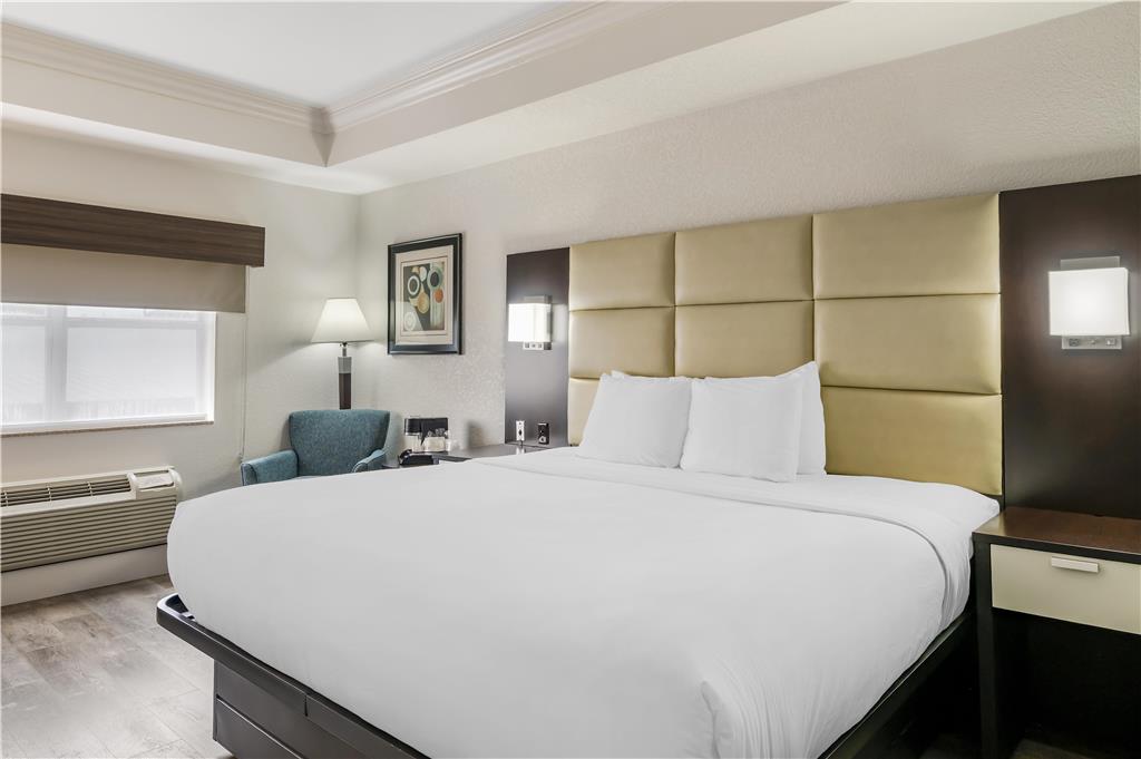 Best Western Plus JFK Inn & Suites - photo 41