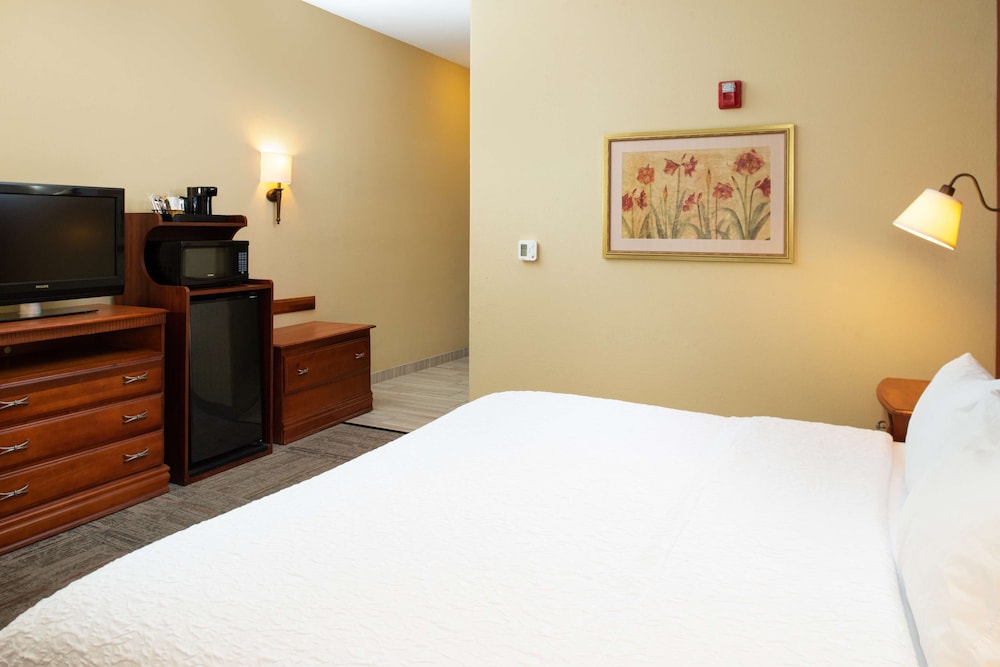 Hampton Inn Kansas City Northeast - photo 31