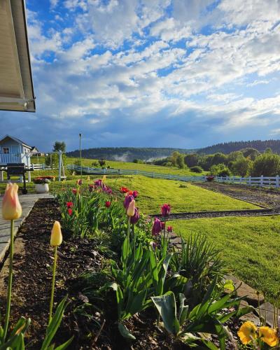 Domek Polna Cisza Bieszczady in Lesko, Poland