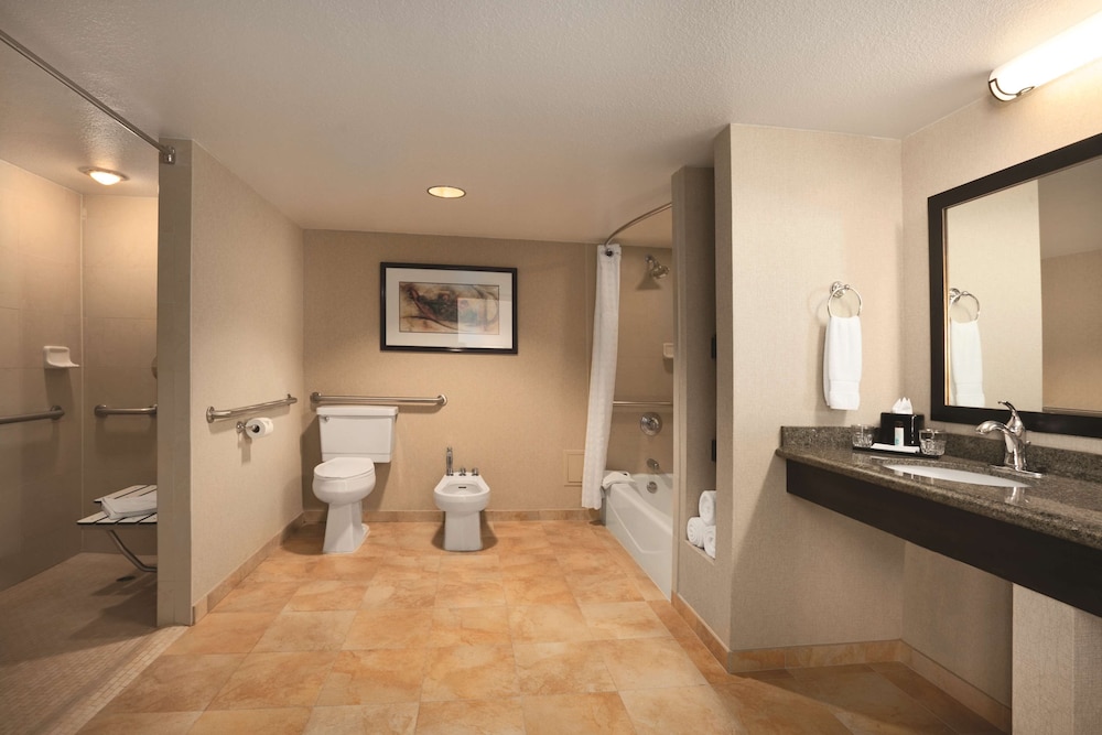 Embassy Suites by Hilton Phoenix Tempe - photo 23