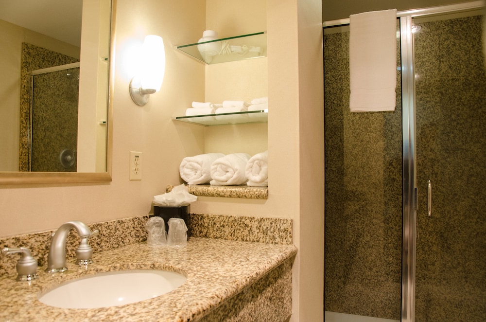 Holiday Inn Pewaukee Milwaukee West by IHG - photo 8
