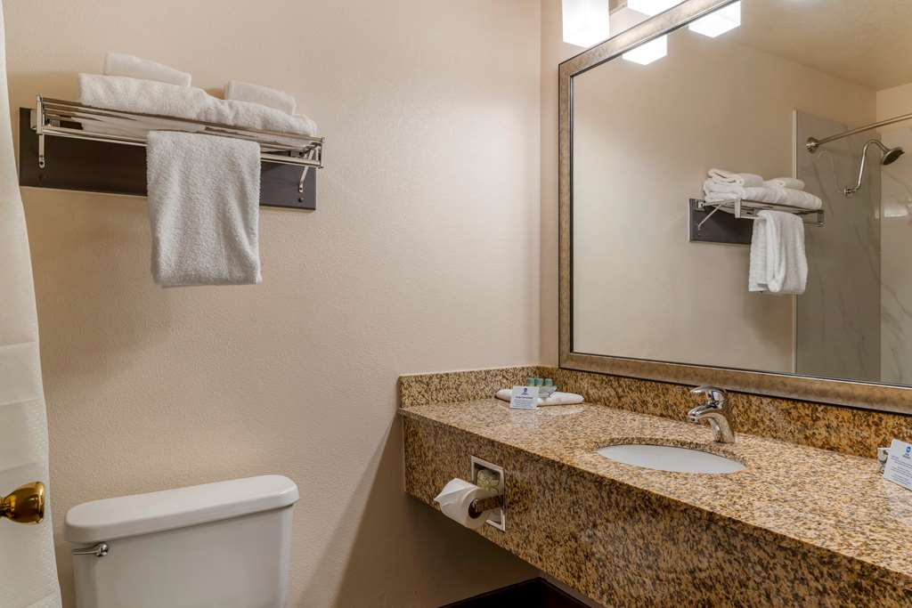 Best Western Pony Soldier Inn Airport - photo 20