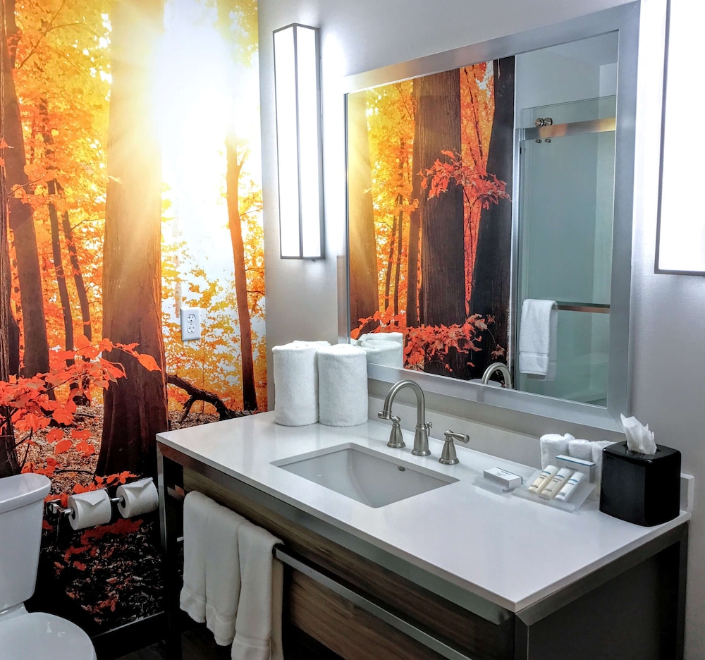 Hilton Garden Inn Minneapolis Airport Mall of America - photo 29