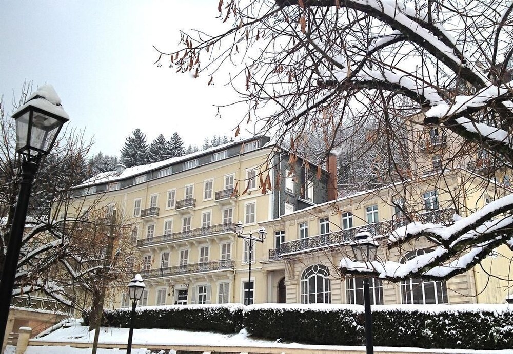 Acacias Apparts Hôtel — hotel in Plombieres-Les-Bains