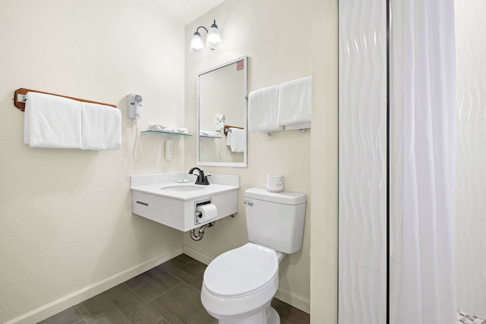 Econo Lodge Inn & Suites Heavenly Village Area - photo 6