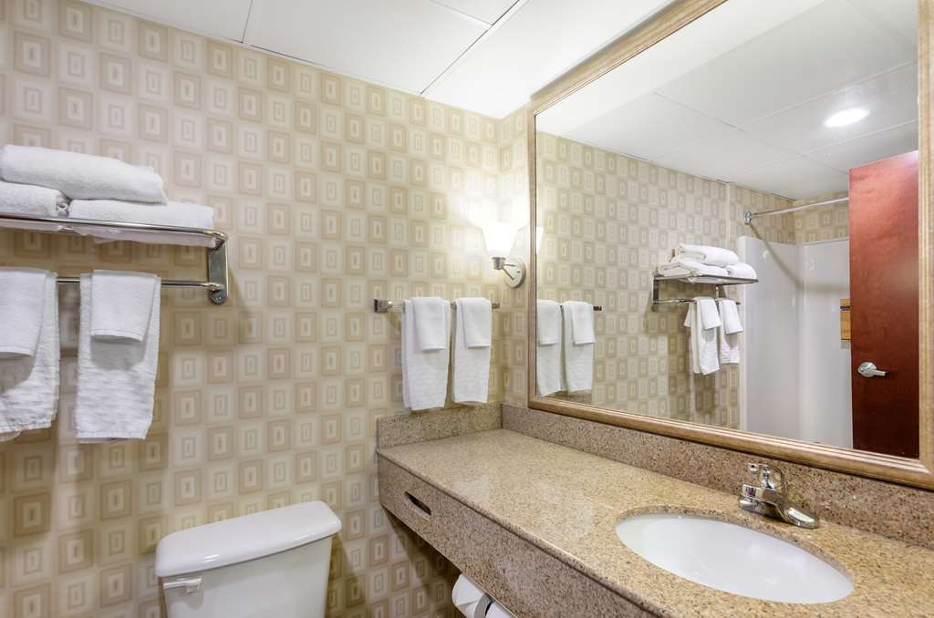 Best Western Plus Waynesboro Inn & Suites Conference Center - photo 35