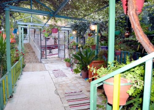 بيت الطبيعة Nature House — 4-Star Luxury Hotel in Jarash, Jordan