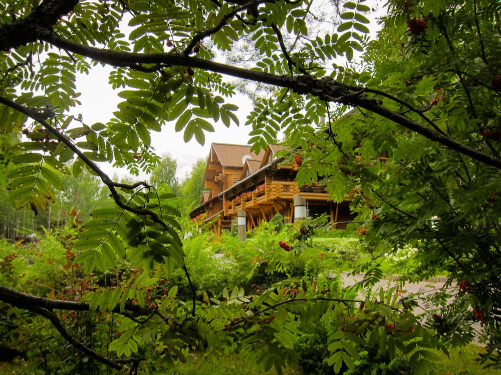 Eco Hotel Romanov Les — carbon neutral stay, Kostroma