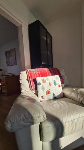 Harrogate Entire House free private parking and garden
