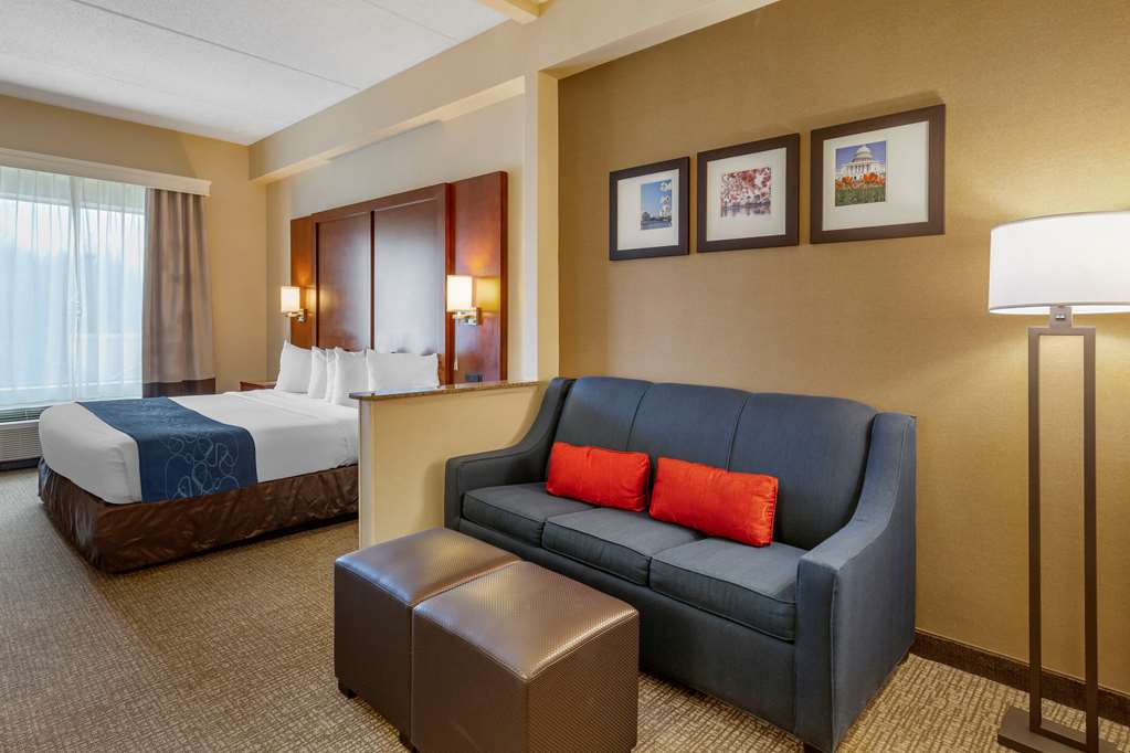 Comfort Suites Manassas Battlefield Park - photo 8