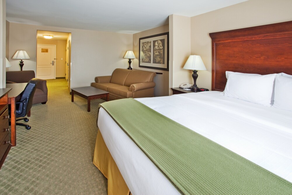 Holiday Inn Express Savannah Airport - photo 4