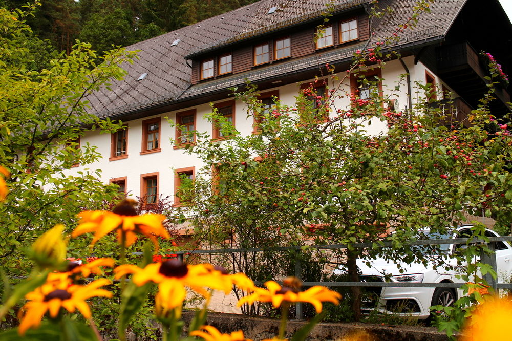 Zum Goldenen R Ssle — Triberg