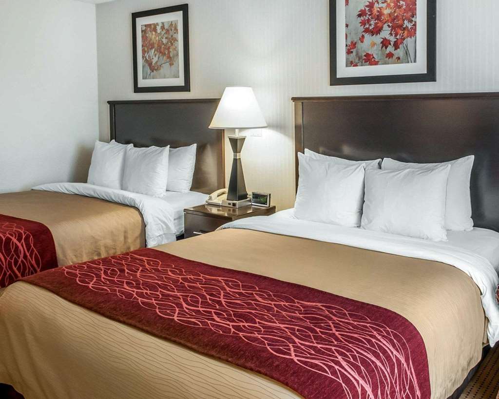 Quality Inn & Suites Farmington - photo 17