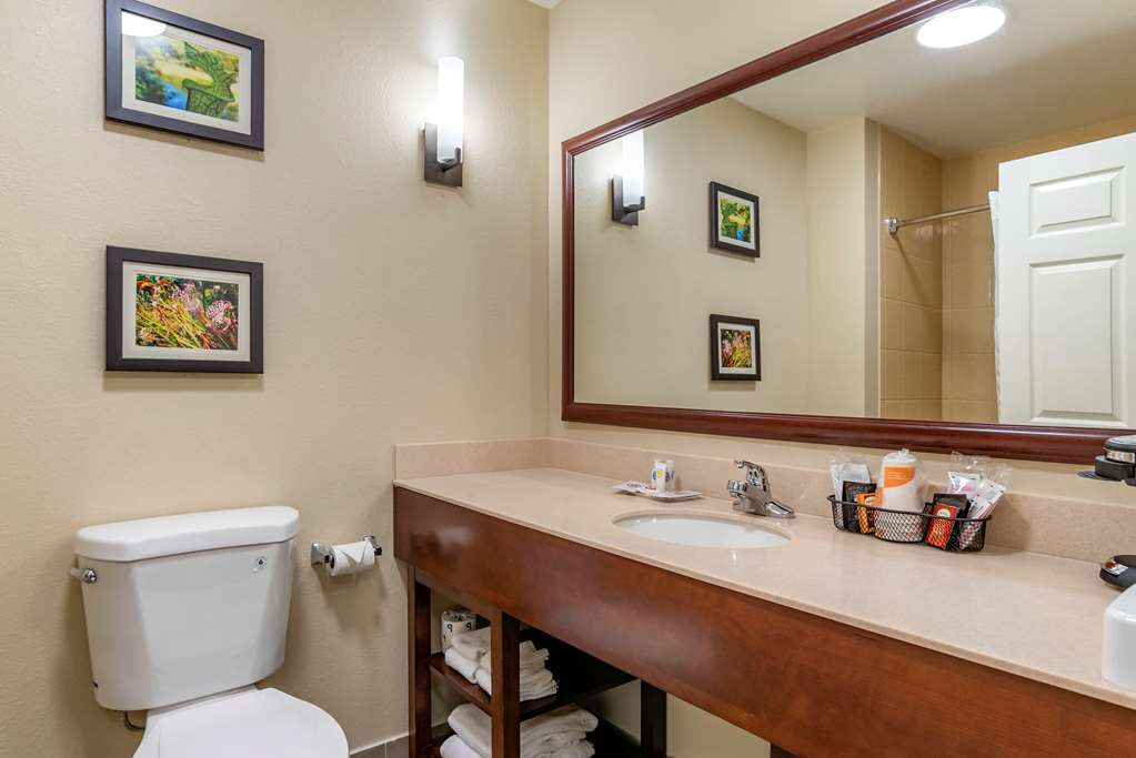 Comfort Suites Niceville Near Elgin Air Force Base - photo 33