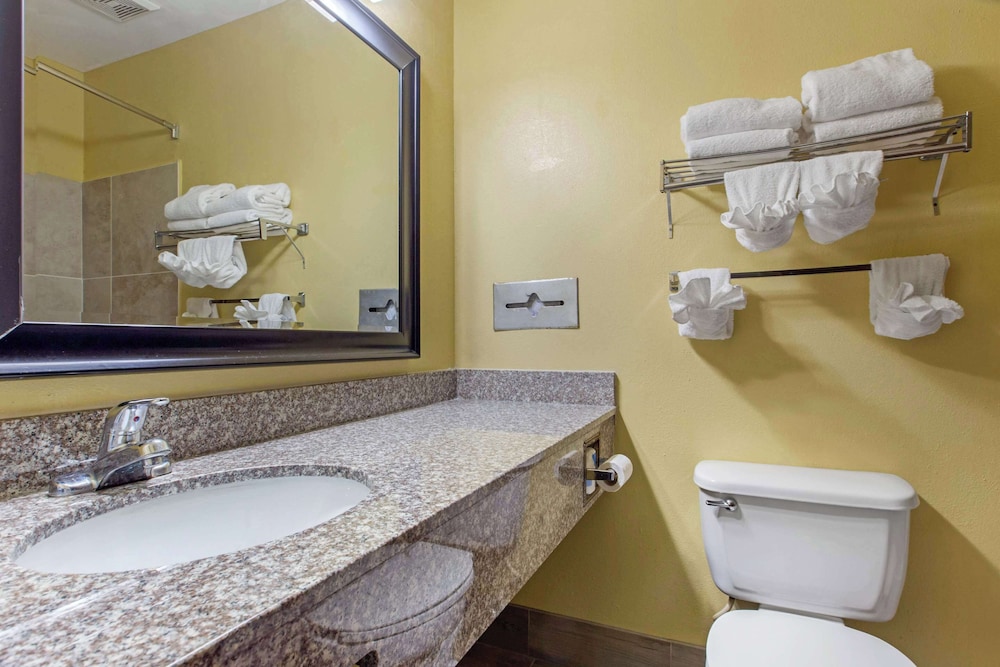 Quality Inn Williamston - photo 36