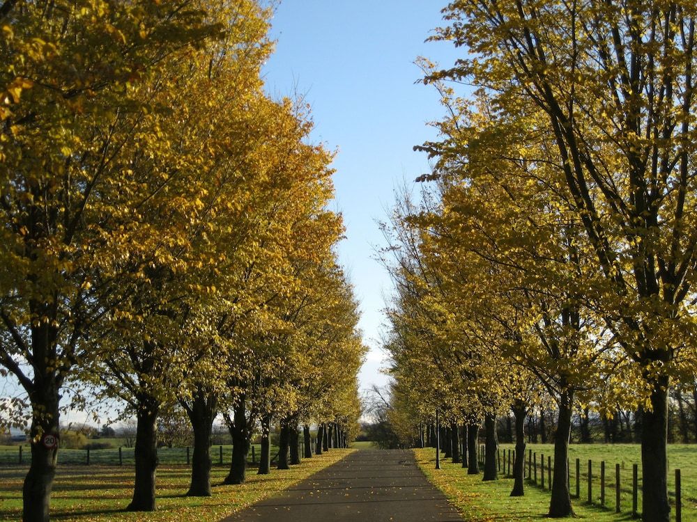 Judges Country House Hotel in Yarm, United Kingdom