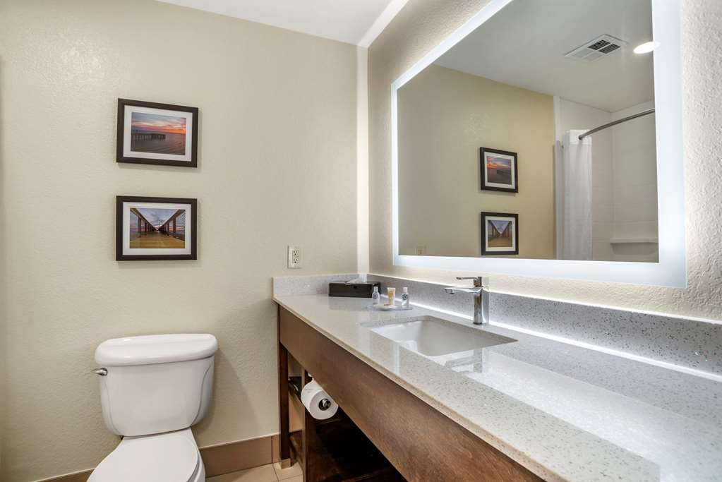 Comfort Inn & Suites Millbrook Prattville - photo 10