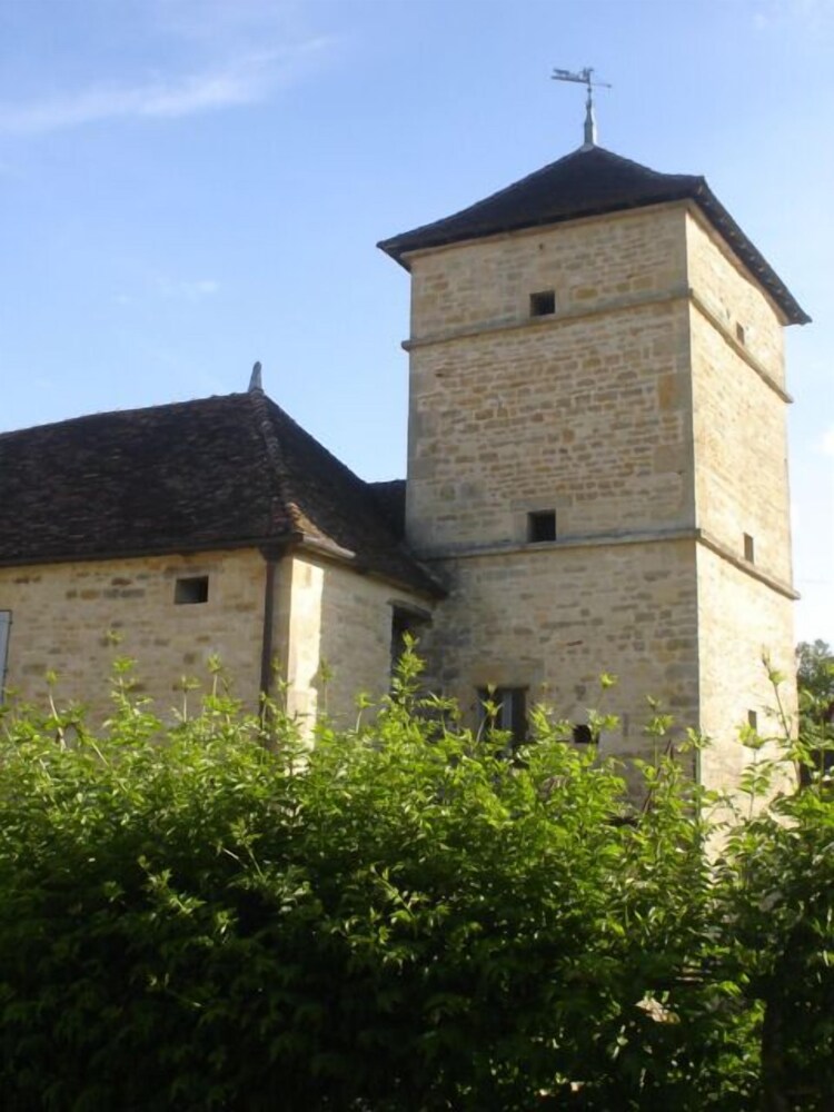 La Grande Vèvre — Dijon — photo 2
