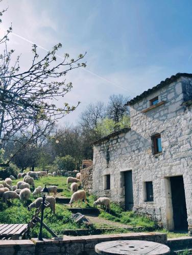 Ferme de Lacassagne - last minute hotel in Unknown City