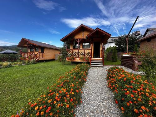 Baltina Parc Transfagarasan in Curtea De Arges, Romania