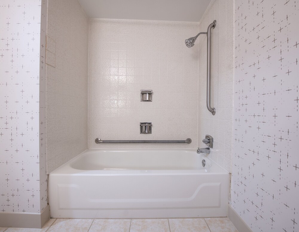 Delta Hotels by Marriott Detroit Novi - photo 12