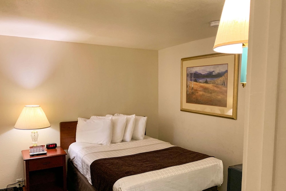 Roadside Motel - photo 49