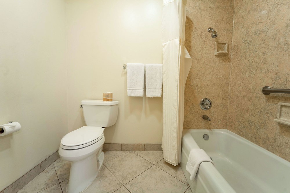 Royal Plaza Inn Indio - photo 67