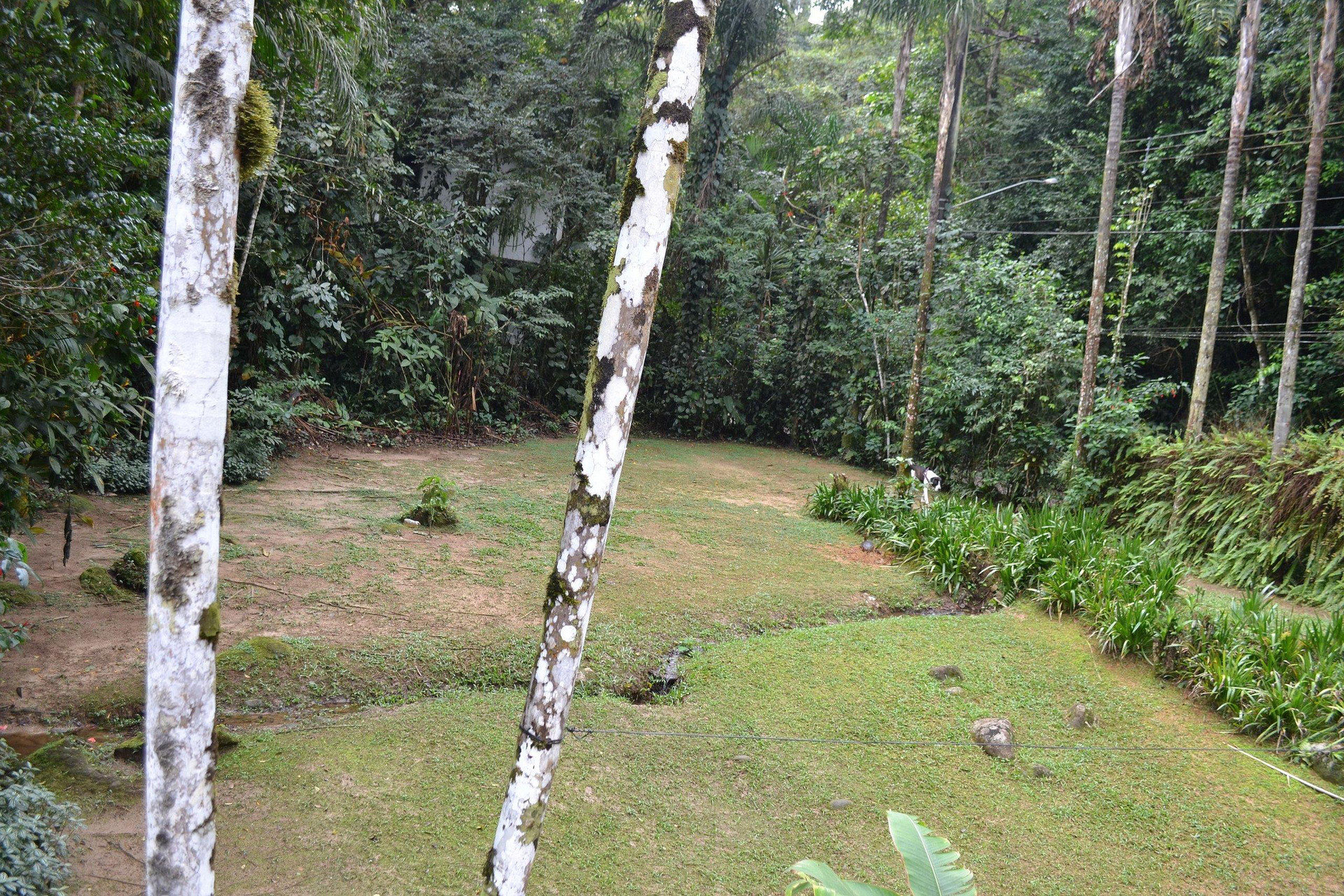 Camburi 5 quartos com piscina natural in Sao Sebastiao, Brasil