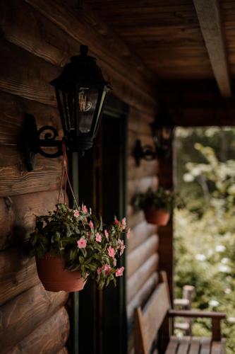 Black River in Kolasin, Montenegro