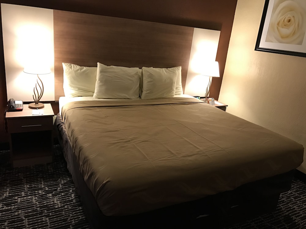Quality Inn Near Pimlico Racetrack - photo 13