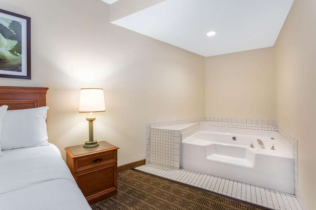 Baymont by Wyndham Orlando South - photo 44