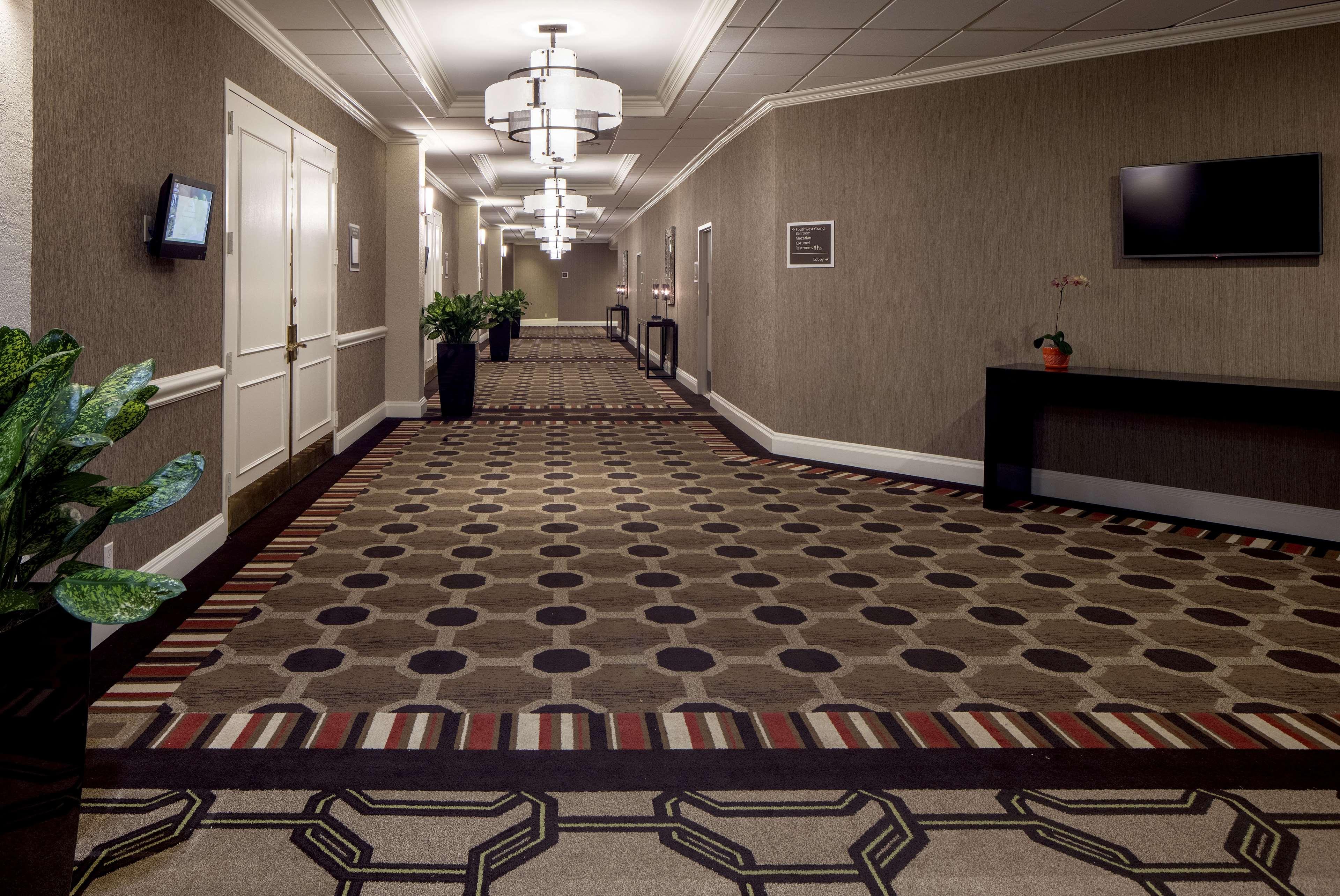 Hilton Houston Galleria Area - photo 36