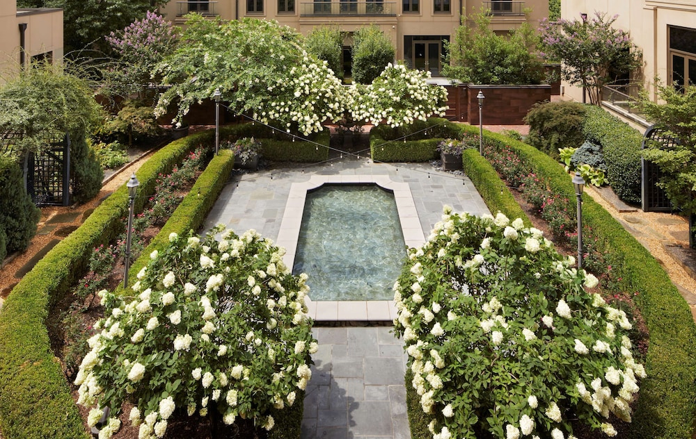 Waldorf Astoria Atlanta Buckhead - photo 46