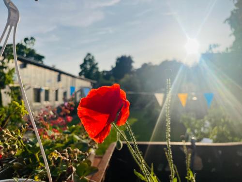 Luna s loft in Bergen, Netherlands