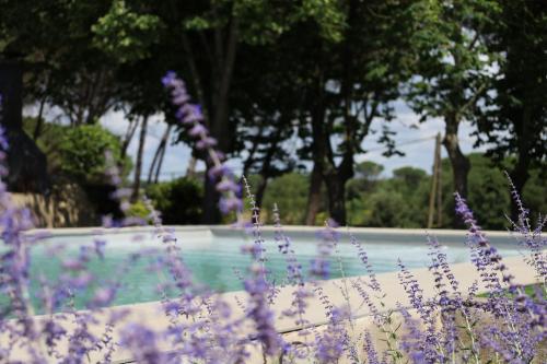 Can Jan Vives — Vidreres — photo 2