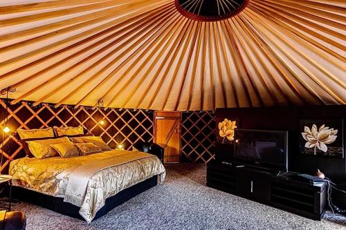 Stillwaters in Unknown City, New Zealand