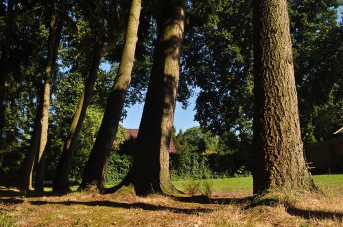 Puur Lage Vuursche