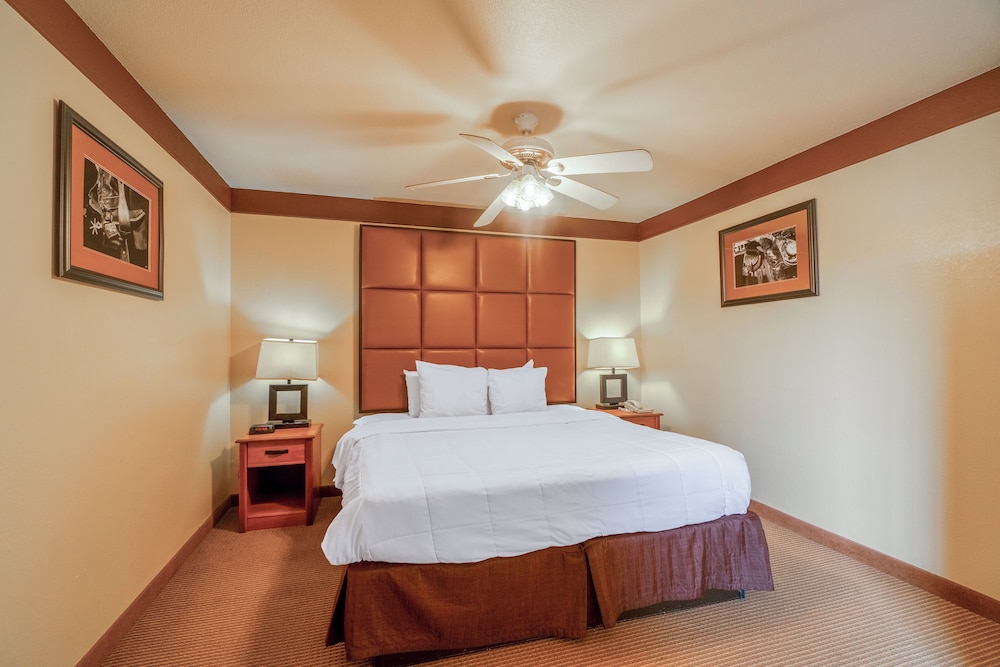 Texan Inn By Oyo Beeville Us 181 - photo 39